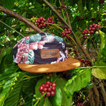 Gorra 5panel Café